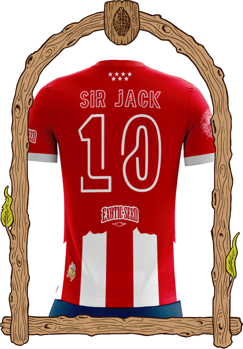 Exotic Seed Football Shirt back