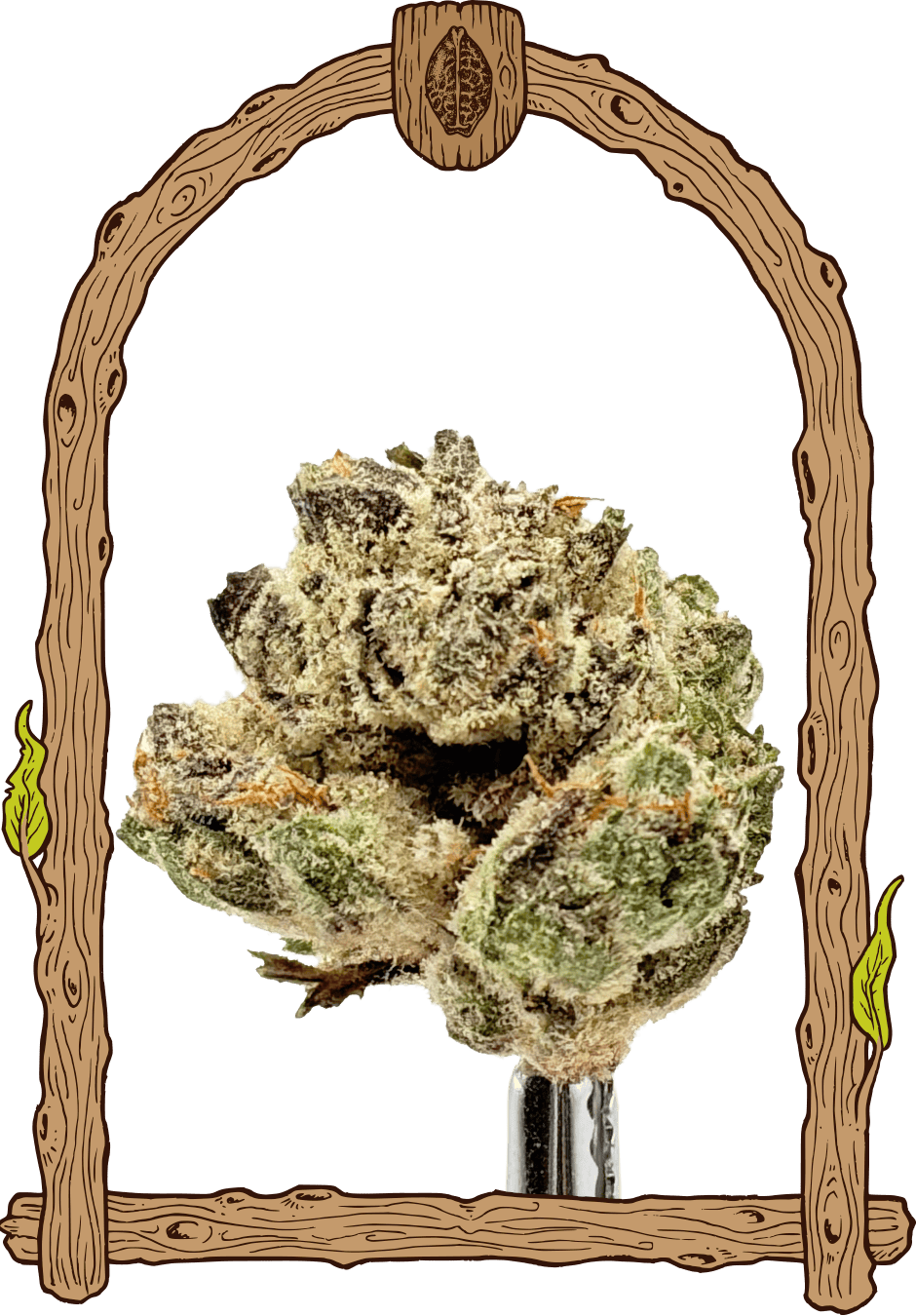 exotic runtz dry bud