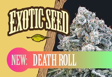 death roll strain banner