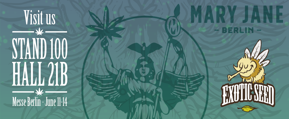 MARY JANE BERLIN 