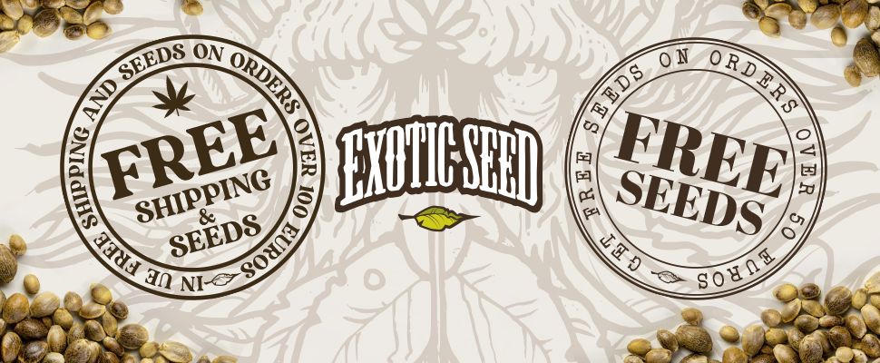 FREE SEEDS +50€  FREE SHIPPING + 100€