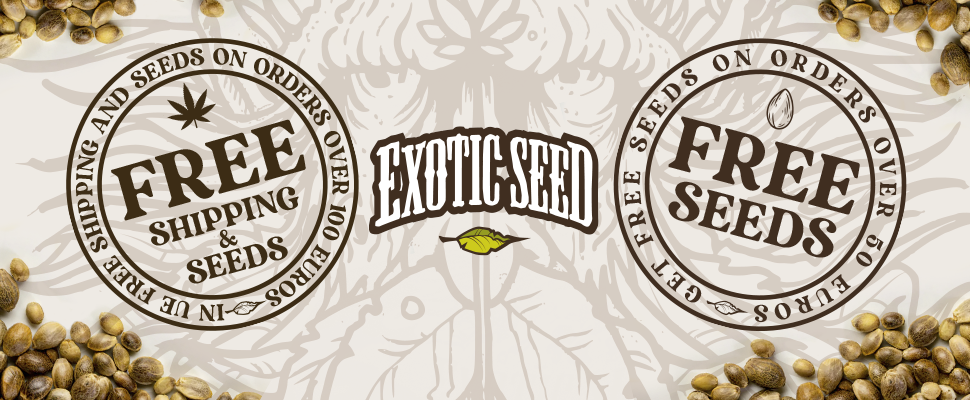 FREE SEEDS +50€  FREE SHIPPING + 100€