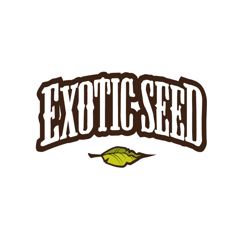 Exoticseed lettering with leaf below