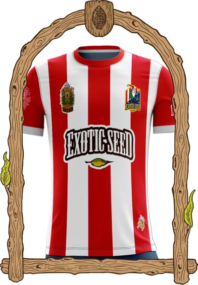 Exotic Seed Football Shirt 1 