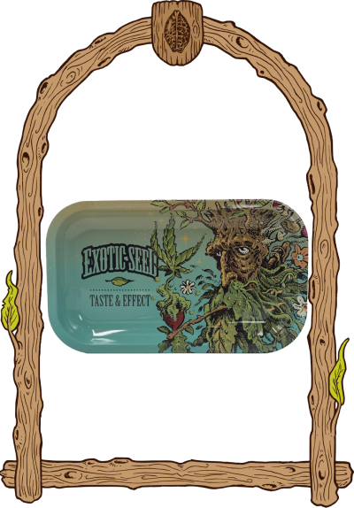 rolling tray Turquoise