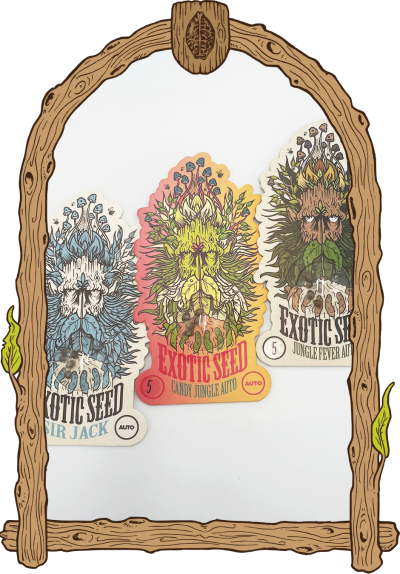 Exotic Selection Auto