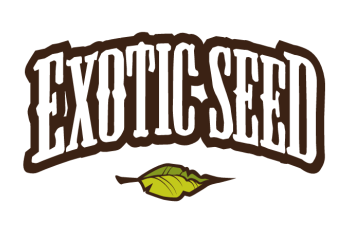 exoticseed lettering