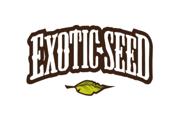 exoticseed lettering with leaf